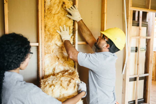 Best Spray Foam Insulation  in Apache Junction, AZ