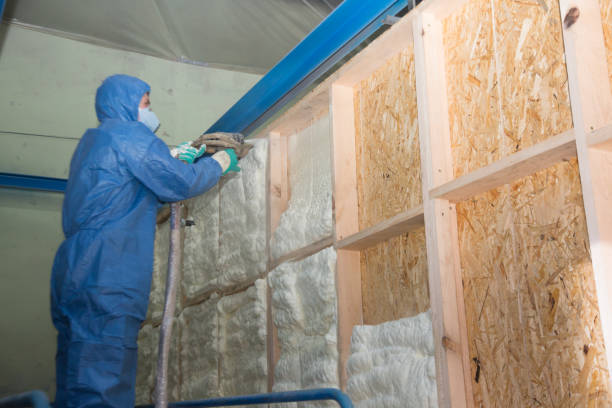 Best Professional Insulation Contractor  in Apache Junction, AZ