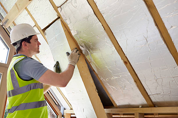 Best Attic Insulation Installation  in Apache Junction, AZ